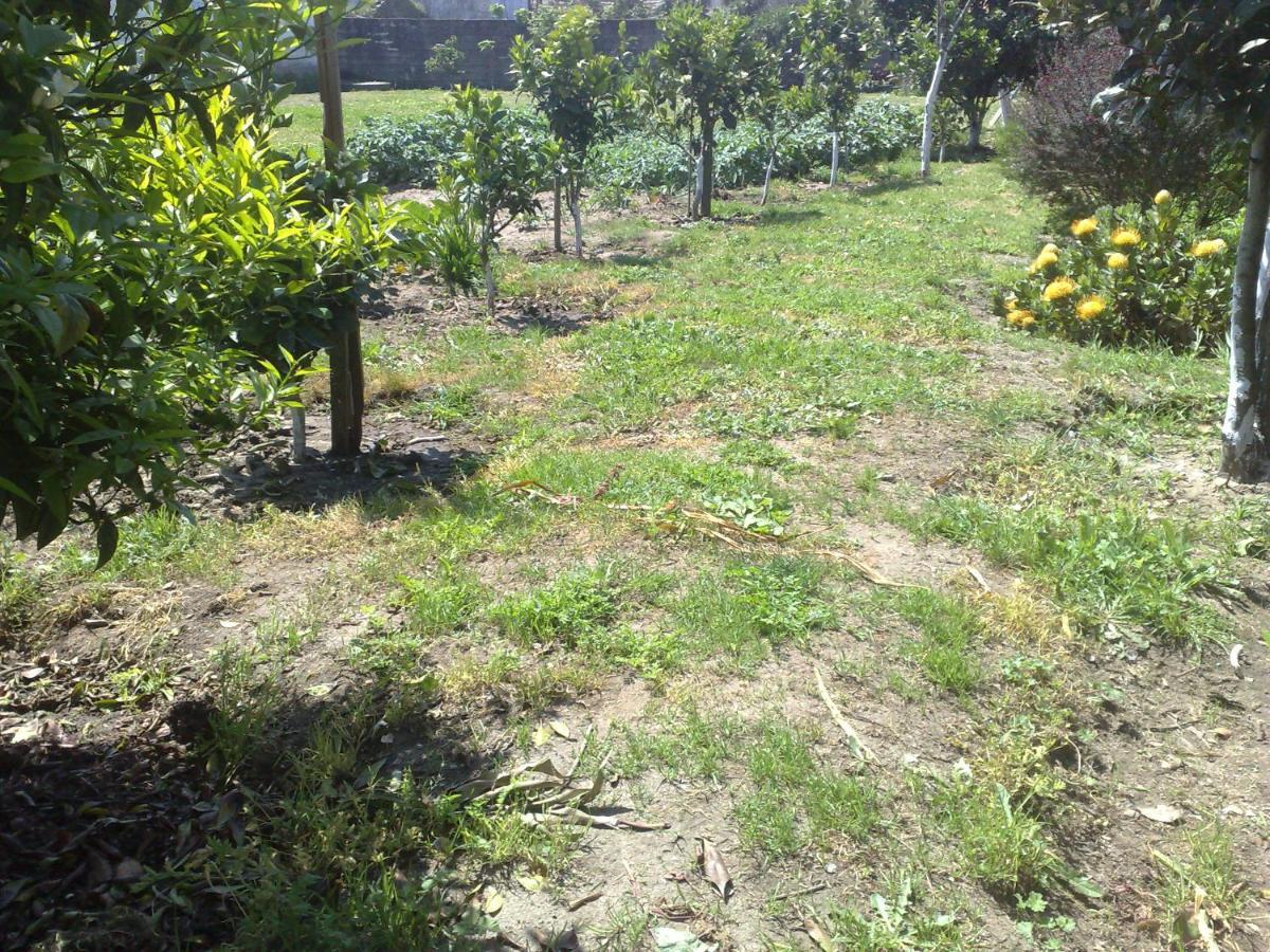 Room Villa Ribeiro Pilgrims Way To Santiago Bike A Garage For Marinhas Esposende Exterior foto